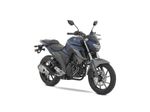 Moto Yamaha FZ 25 - Color Azul - De costado - Cycles Motoshop