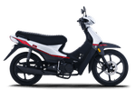 Moto Zanella ZB 110 Full - Color Plata - Cycles Motoshop