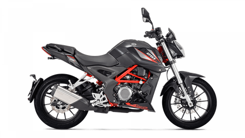 Benelli 251s
