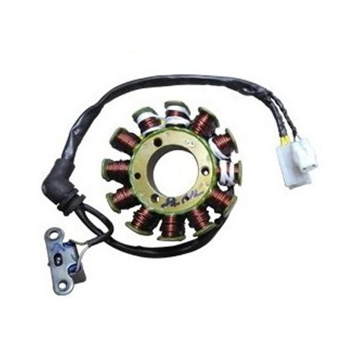 Estator Encendido 12 Polos Rouser NS160 Bajaj