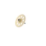 Imagen-1
