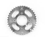 Imagen-1