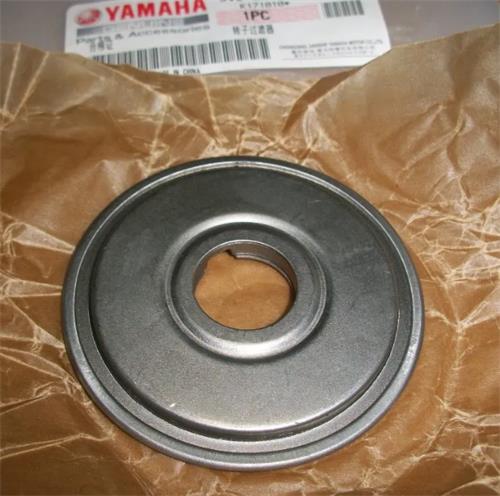 Imagen-1