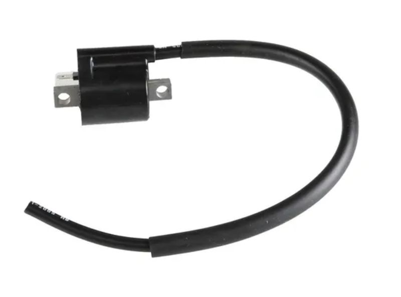 Imagen-1