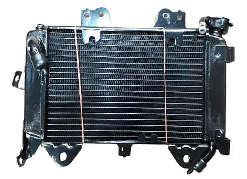 Radiador Rouser NS200 Bajaj