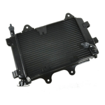 Imagen-1